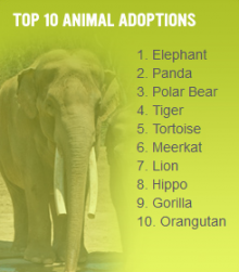 alt=&quot;Top 10 animal adoptions. 1. elephant 2. panda 3. polar bear 4. tiger 5. tortoise 6. meerkat 7. lion 8. hippo 9. gorilla 10. orangutan&quot;