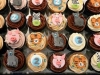 Animal cupcakes